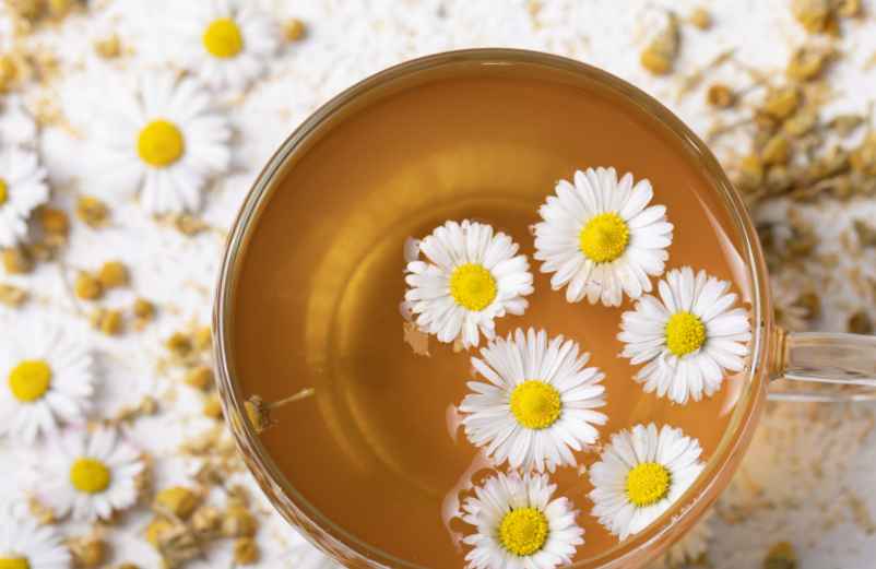 Adapter son alimentation pour prévenir les crises France-Légumes