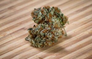 Quelle fleur de CBD ne contient pas de THC ? France Légumes