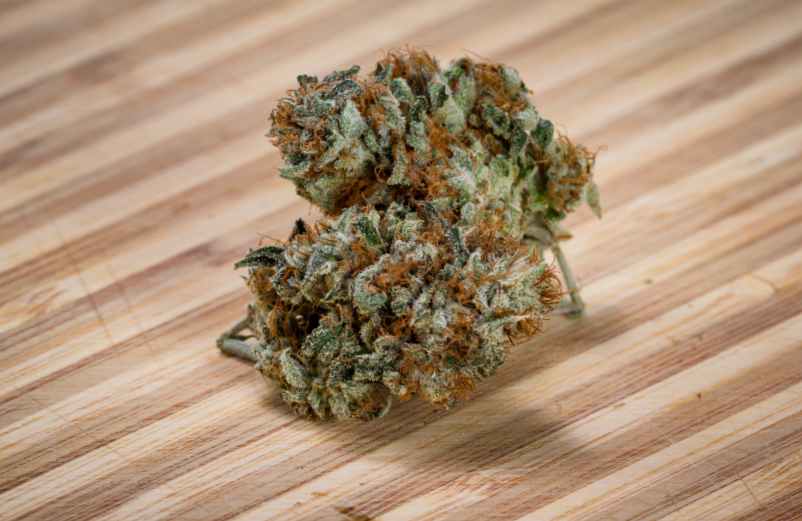 Quelle fleur de CBD ne contient pas de THC ? France Légumes