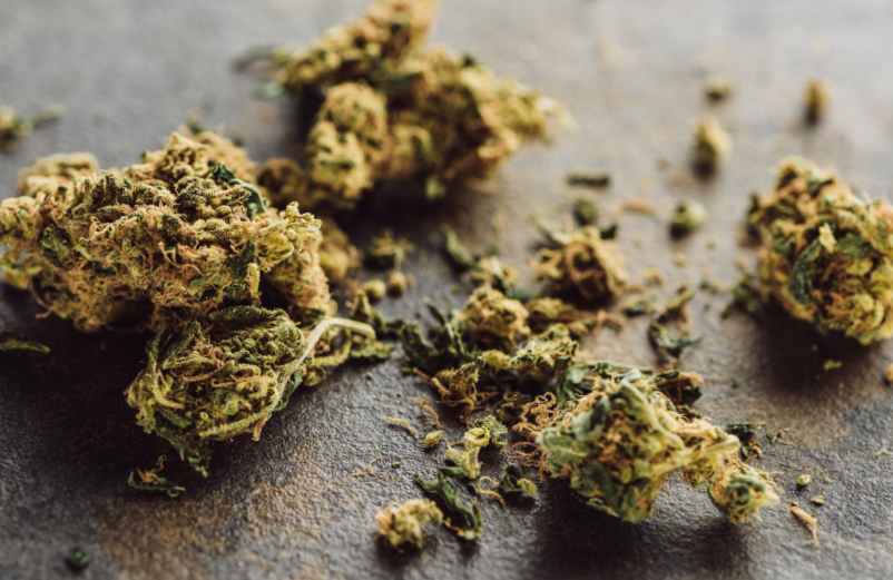 Quels sont les effets de la fleur de CBD sans THC ? France Légumes