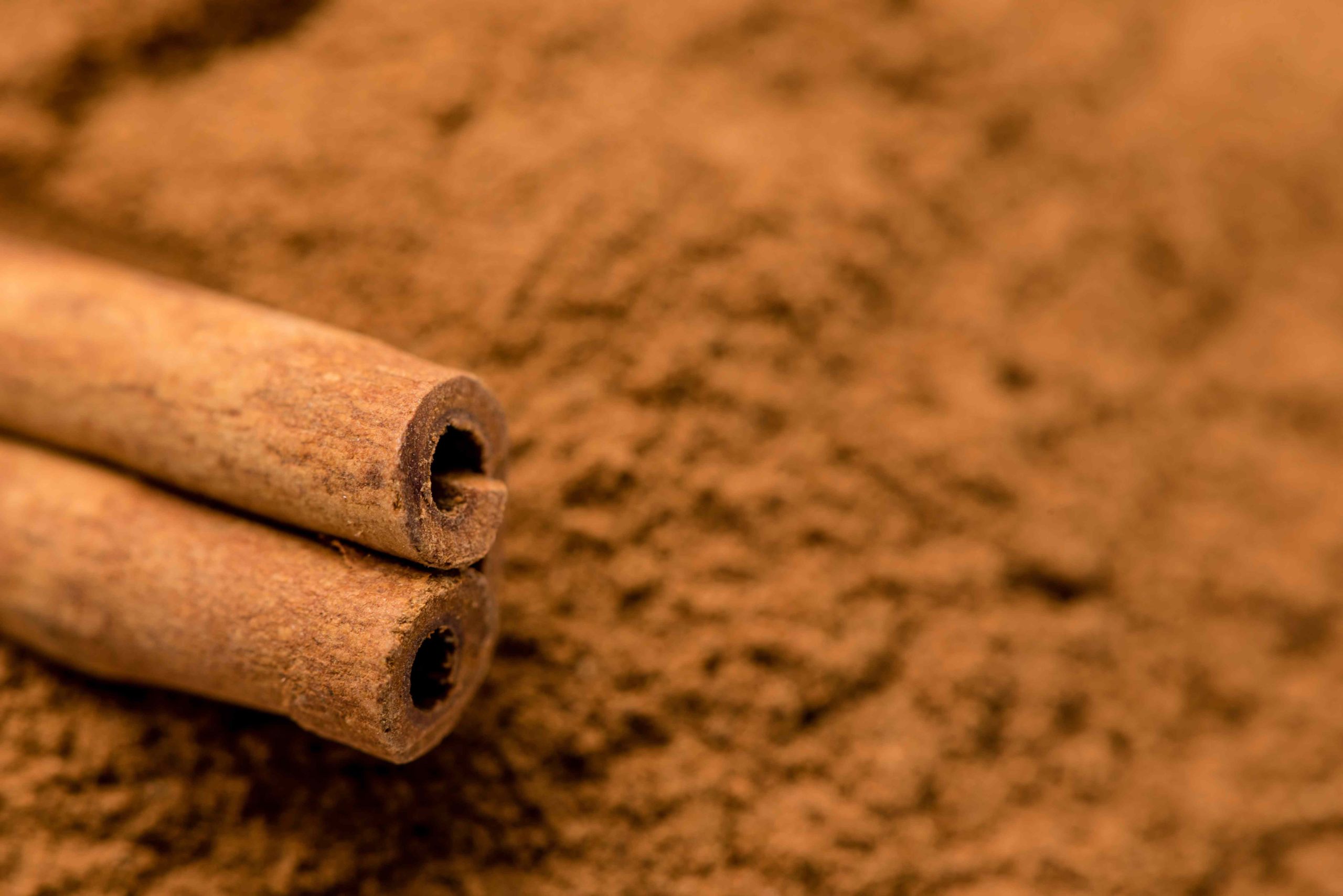 4 Spices High in Antioxidants Besides Cinnamon