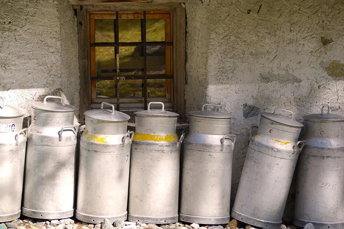 Blender en train de mixer des graines pour préparer du lait végétal