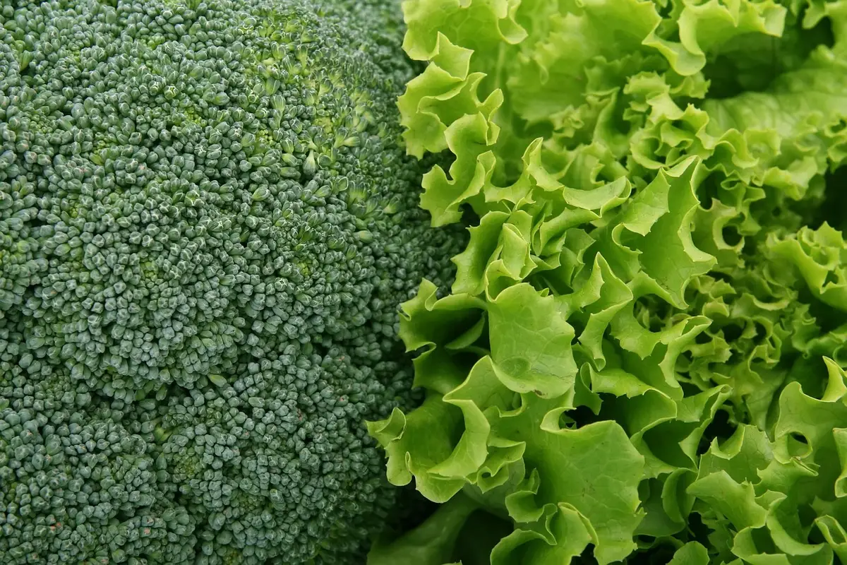 Grand bol de salade estivale préparée avec fruits et légumes frais